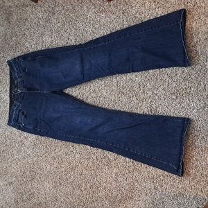 LANE BRYANT- size 12 SHORT jeans- EUC